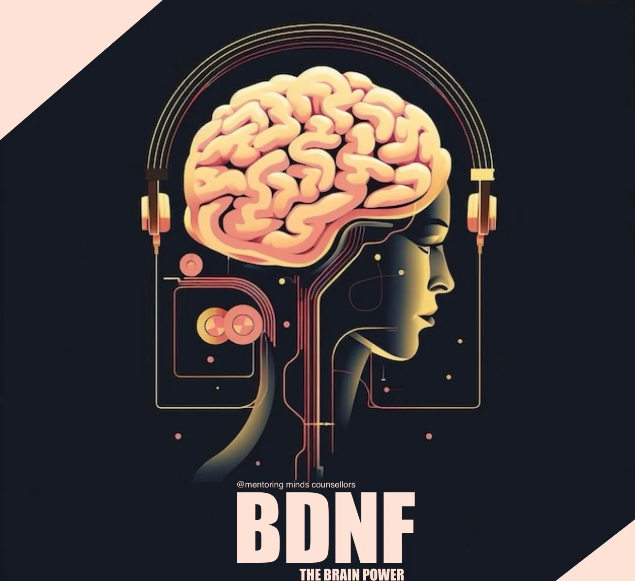 BDNF - The Brain Power